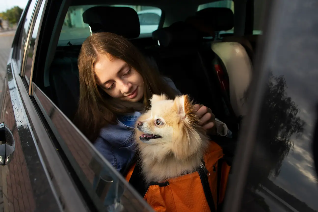 PetTaxi